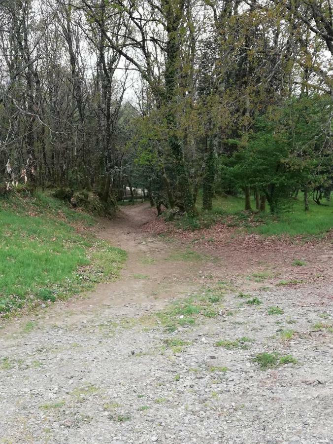 Apartamento Sigueeiro Camino Ingles Сигуэйро Экстерьер фото